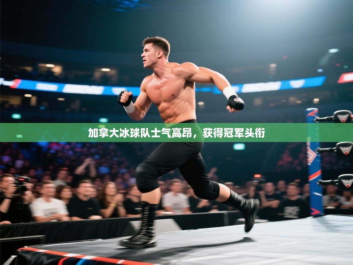 加拿大冰球队士气高昂，获得冠军头衔  第1张