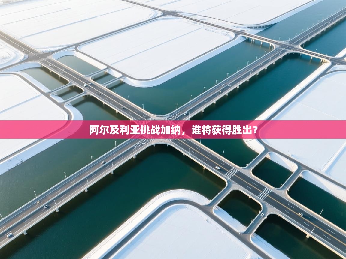 阿尔及利亚挑战加纳，谁将获得胜出？  第1张