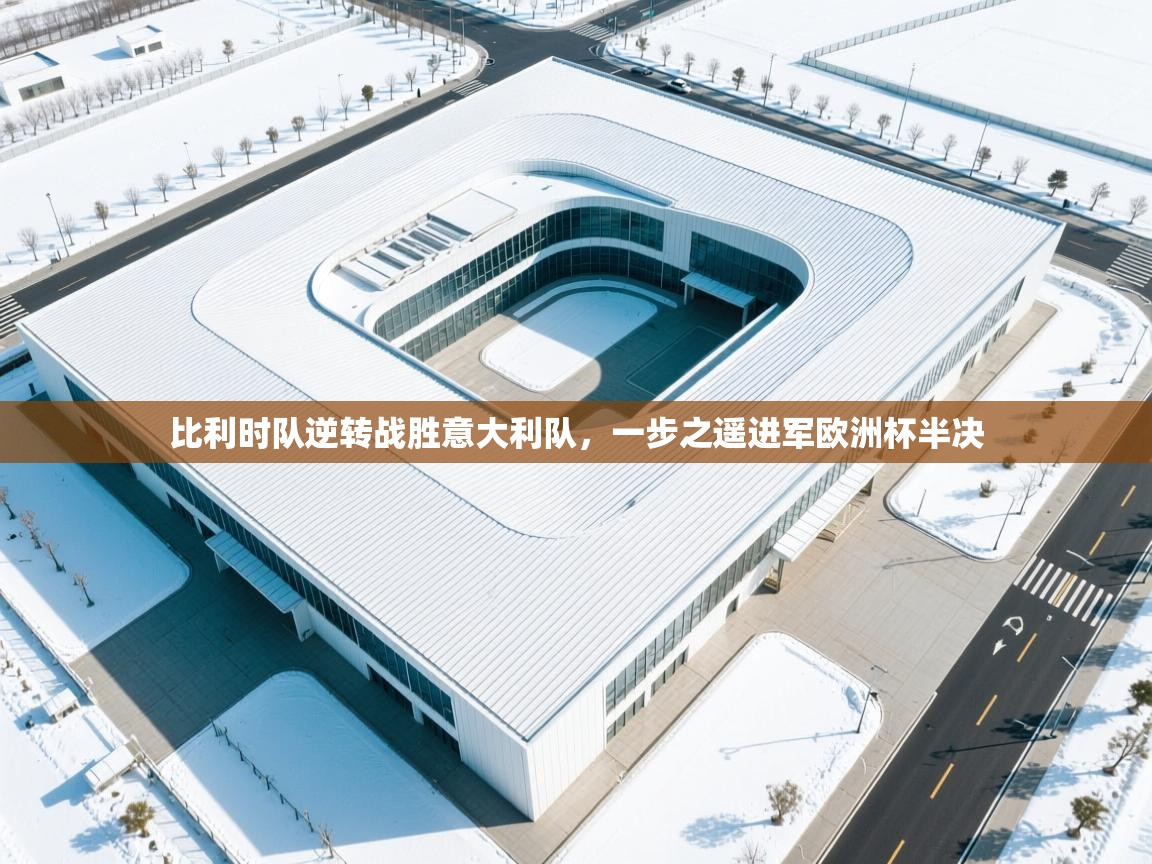比利时队逆转战胜意大利队，一步之遥进军欧洲杯半决  第2张