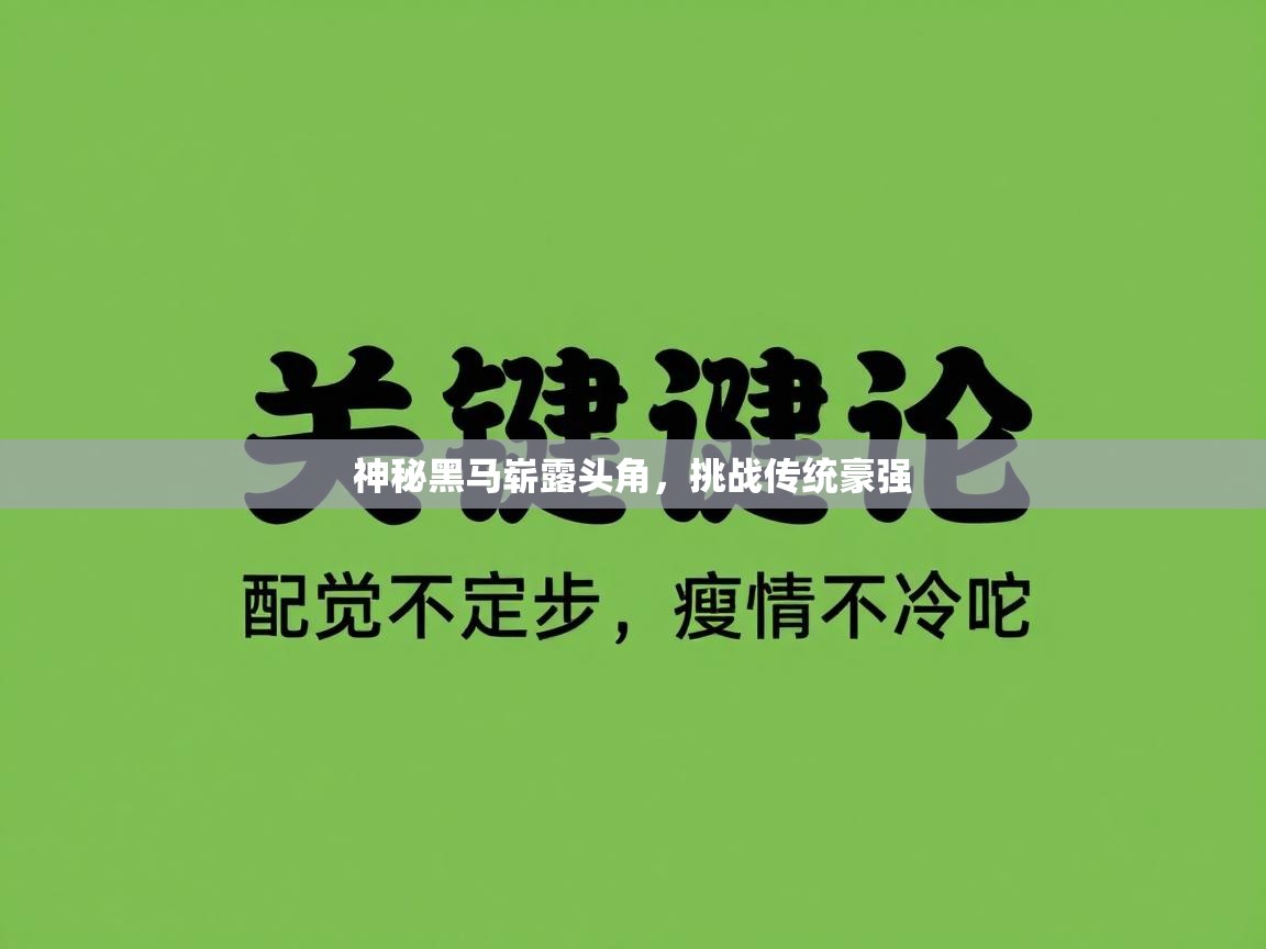 神秘黑马崭露头角，挑战传统豪强