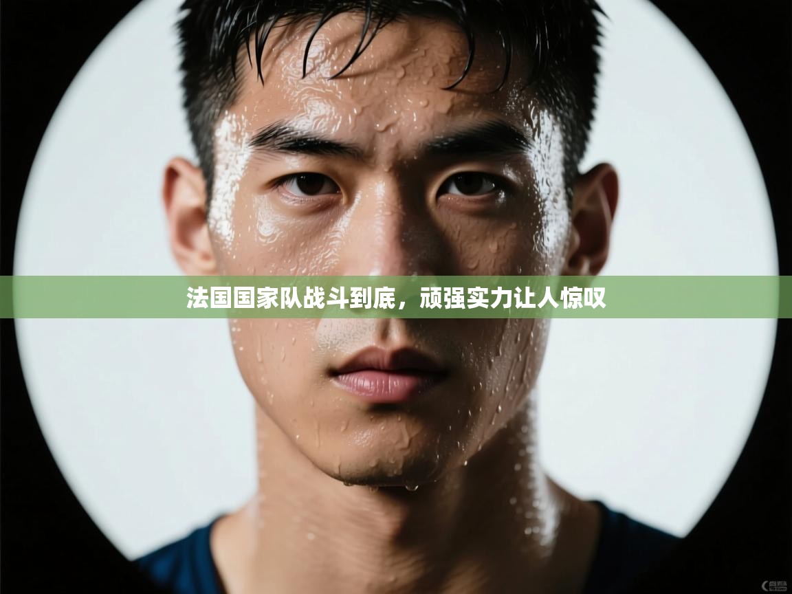 法国国家队战斗到底，顽强实力让人惊叹  第2张